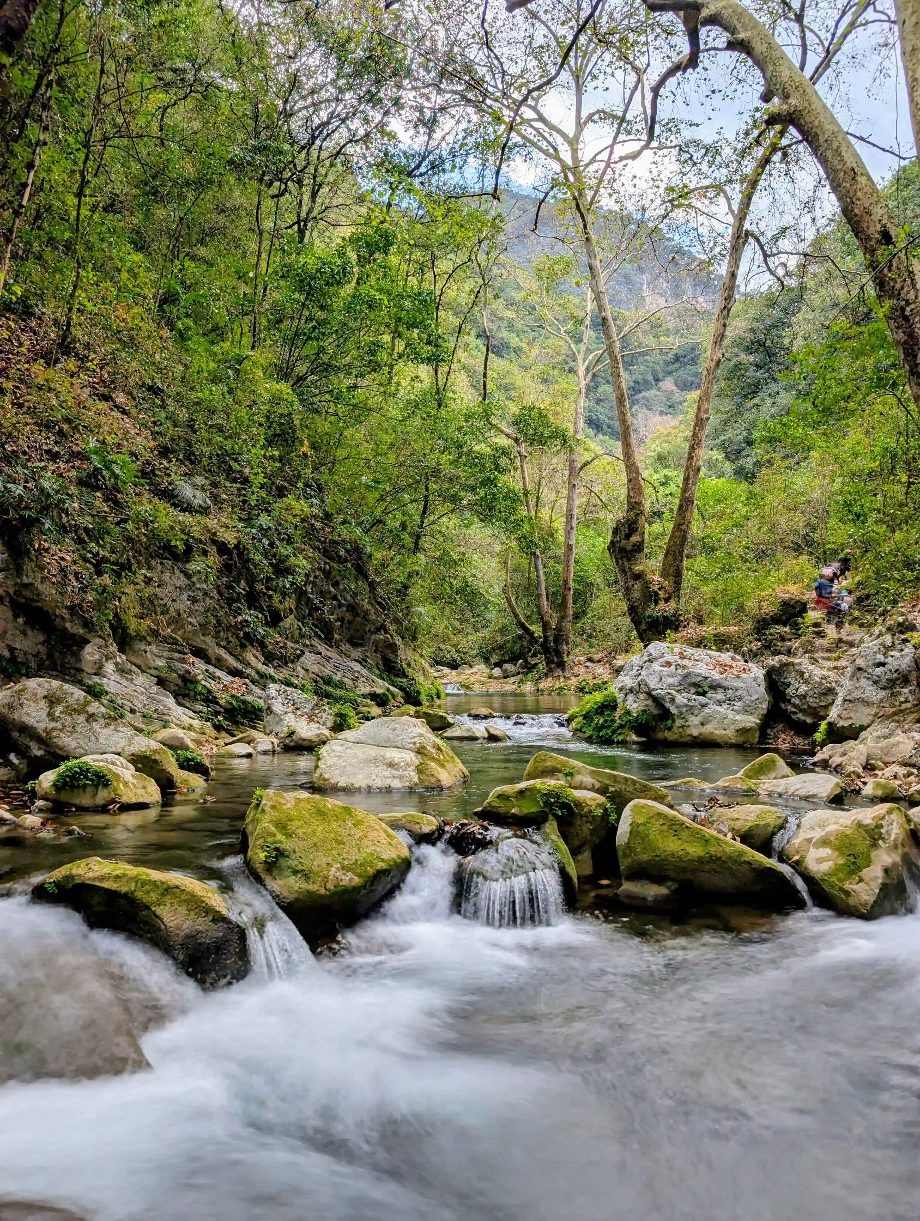 Ecoturismo responsable