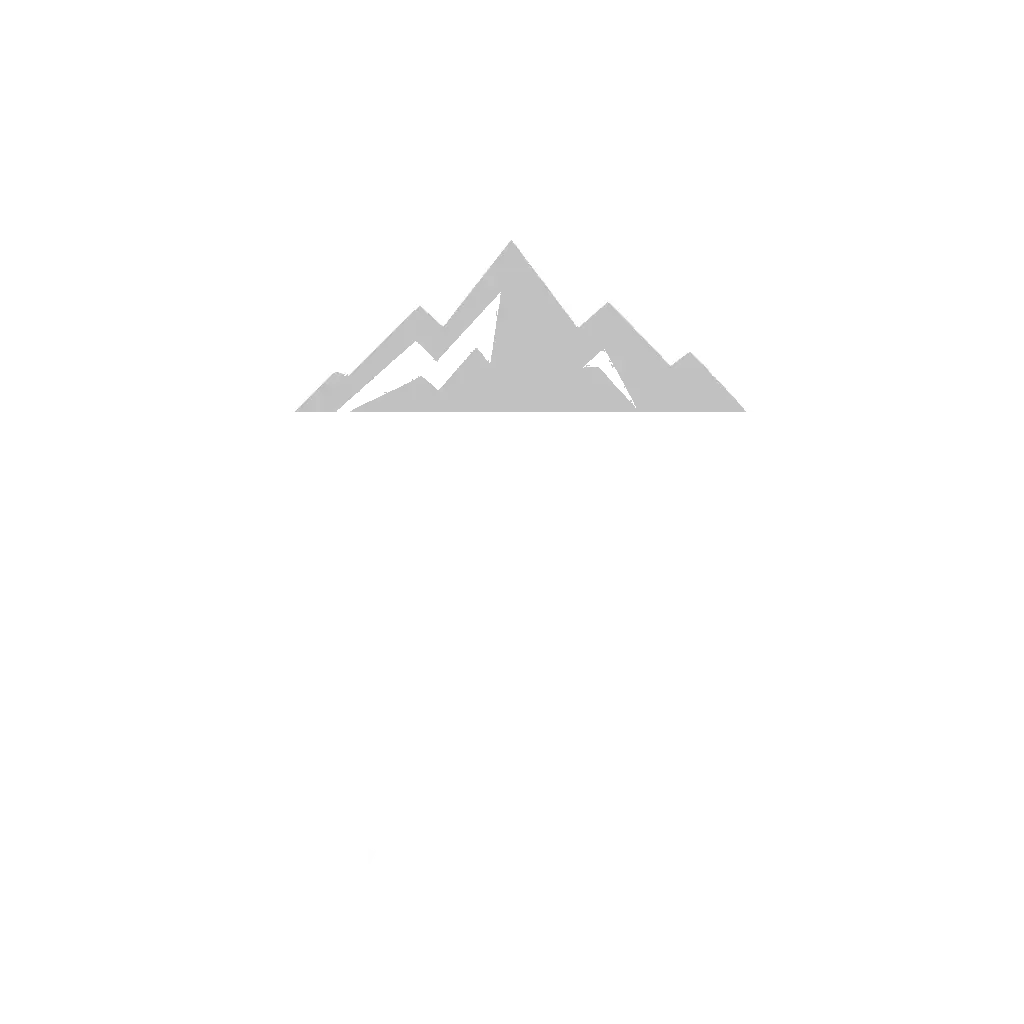 Nemi Logo